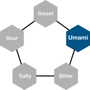 Drawing of five basic tastes