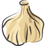 Illustration of one of ingredients, garlic