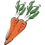 Illustration of one of ingredients, Carrot