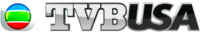 TVB USA Logo